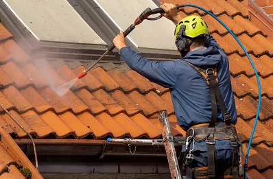 Démoussage et hydrofuge de toiture à la Trinité